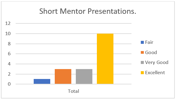 The participants’ rating of the short presentations given by the mentors.